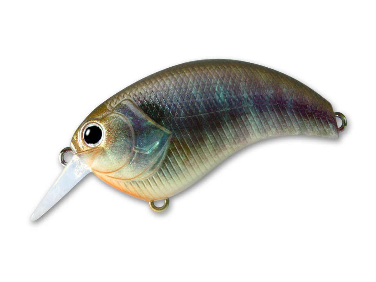 Evoke 2.0 #10 Real Blue Gill product image